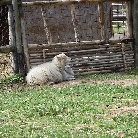 Venicegreen Agriresort