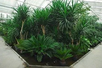 Κατάλυμα σε φάρμα Venicegreen Agriresort *