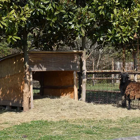 Venicegreen Agriresort Фермерский дом