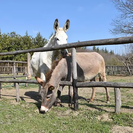 Venicegreen Agriresort Κατάλυμα σε φάρμα Tessera