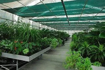 Venicegreen Agriresort Feriegård *